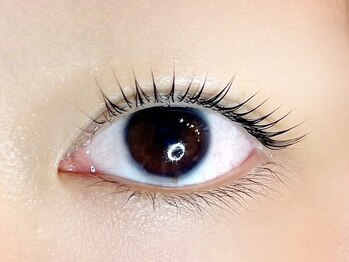 リノ カヒリ アイラッシュ(Lino kahili)/ラッシュリフト