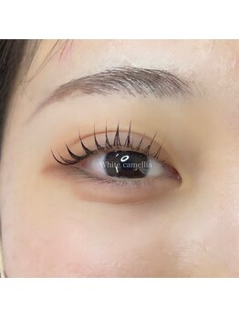 ホワイトカメリア 難波心斎橋店(WhiteCamellia)/メーテルラッシュ