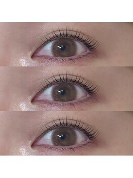 アーチ(arch)/まつ毛パーマ/ラッシュリフト