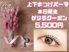 ゲリラクーポン【★1日★ご来店限定 指名不可 5500円上下まつ毛パーマ】