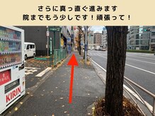 【美容鍼・小顔矯正・整体】×プリミ鍼灸院　横浜店/さらにまっすぐ進みます(8/12)