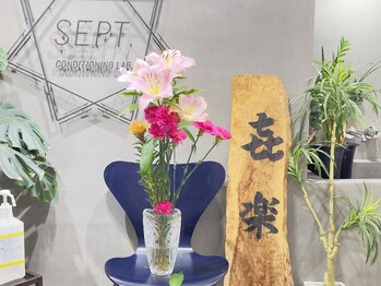 セプトきらく鍼灸整体院(Sept.)/今週のお花☆