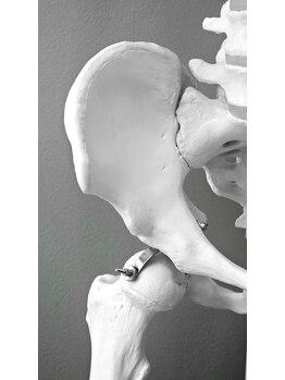 女性に寄り添うヒロミカイロ整体 六本木(女性に寄り添うHiromiカイロ整体)/妊娠中によくある股関節の違和感