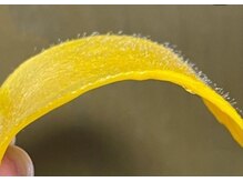 藤川美肌製造所 千早店の雰囲気(フードエッセンス配合の顔ワックスでワンランク上の艶肌に!)