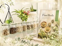 ヨサパーク リリー(YOSA PARK Lily)の雰囲気（医薬部外品のハーブを使用。ハーブ&水素ミストで温めデトックス!）