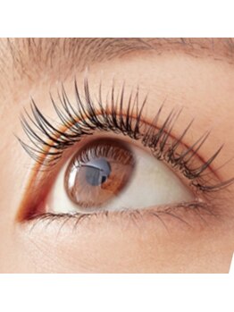 アイリス(Airis)/ご新規Wフラットラッシュ100束