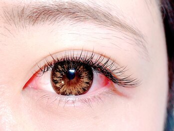 リンド(LINDO)/フラットラッシュ180本