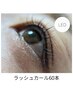 【ラッシュカール】まつ毛パーマ&LEDエクステ60本トリートメント付¥9900