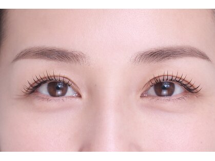 リラ(lilas)の写真