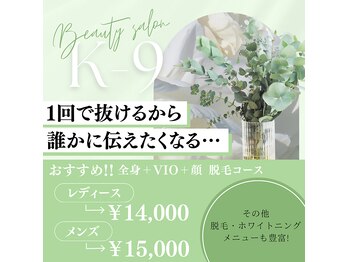 ケーナイン(K-9)