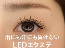 ルシアル 所沢(Luciall)/LEDエクステ