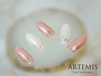 アルテミス(ARTEMIS)/シンプルB 