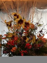 サラ ビューティ マジック(Sara Beauty Magic)/