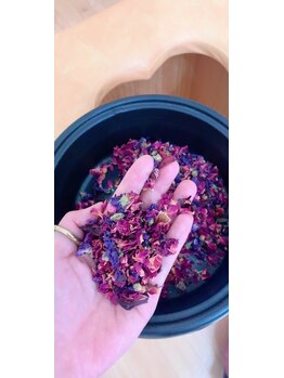 キアラ(Chiara)/飲料可能ハーブ