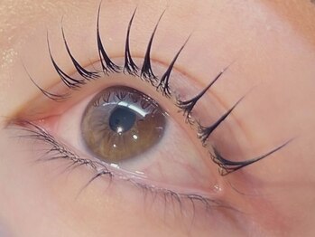 シュクレ 桑名店(shucre)の写真/【カールリフト】は女性らしいカール感が魅力♪【パリジェンヌラッシュリフト】はパッチリとした仕上がり♪