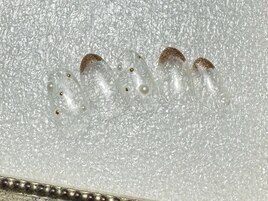 クリアネイル定額