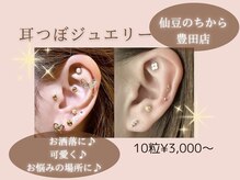 仙豆のちから 豊田店