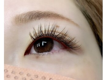 アイラッシュサロン ステルラ(stella)/オールブラウン