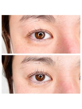 トミー(Tommy)/まつげパーマ