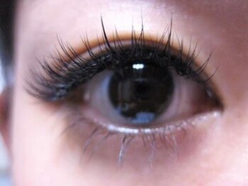 ドルチェ(DOLCE)/-人気なスタンダードコース80本-