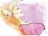【2回目ご予約限定】お顔シェービング＋たっぷり保湿 ¥6,050→4950
