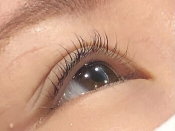 ピクシーボブ(Pixie Bob)/根本からしっかりカールスタイル