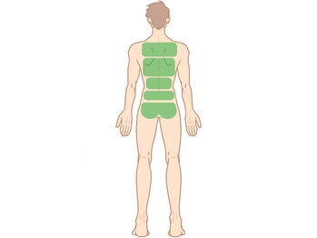 ダンディースター/【背中】脱毛の卒業目安