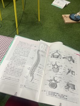 デイジー91(Daisy 91)/解剖学学び直してます