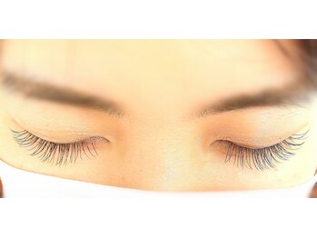 シエル(Ciel)/フラットラッシュ 100本