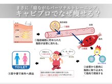 脂肪を分解し、燃焼！