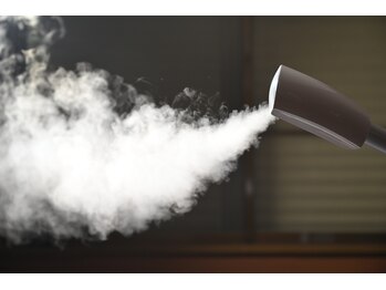 ヴェルト(Verte)/フェイシャルスチーマー