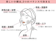 グレースエール トータルビューティーサロン(Grace Aile)の雰囲気(一人ひとりの骨格に合わせて、根本から小顔へ)