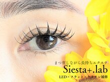 シエスタプラスラボ(Siesta+lab)