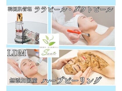 サンテ(Sante)の写真