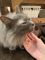 スタイルラボ 大阪梅田サロン(StyleLabo) 猫が好きです。