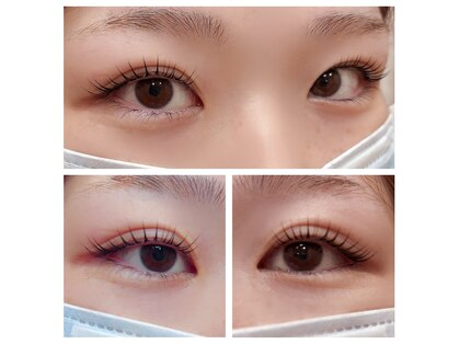 ピノ(PINO)の写真