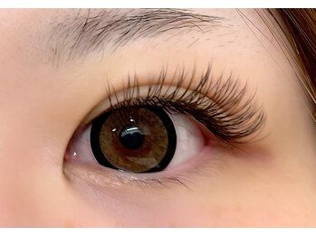 マヒナ(Mahina)/ダークブラウン150本