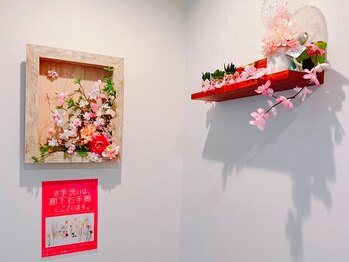 サクラ(SAKURA)/■SAKURA