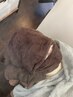【リフトアップパック+本気マッサージ】最強フェイスライン革命ロング（25分)