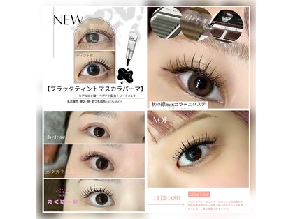 サロン アイノア(salon Ainoa)の写真