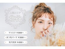レディ(Lady)