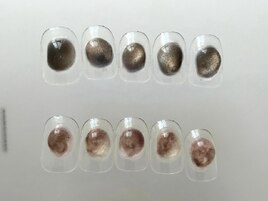 10月定額モデルプレート