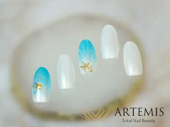 アルテミス(ARTEMIS)/シンプルB 