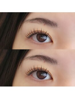 ハル(HAL)/フラットラッシュ　140本