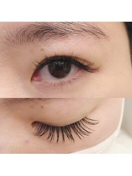 フランセス(Frances)/ボリュームラッシュ