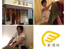翼 整体