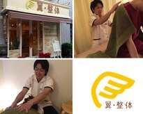 翼 整体