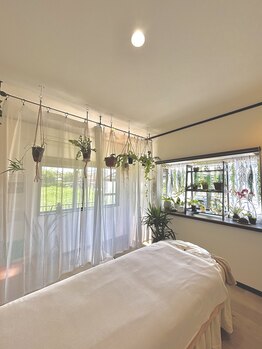 ブルーム(B.LOOM)/沢山の植物で癒し