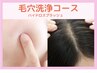  お顔＋頭皮の毛穴洗浄(ハイドロスプラッシュ) 60分 ¥12,100 →