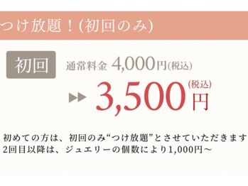 ダイエットパーソナルサポーター美魅/耳つぼジュエリー始めました！！